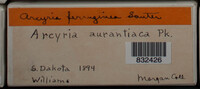 Image Associated With the Occurence